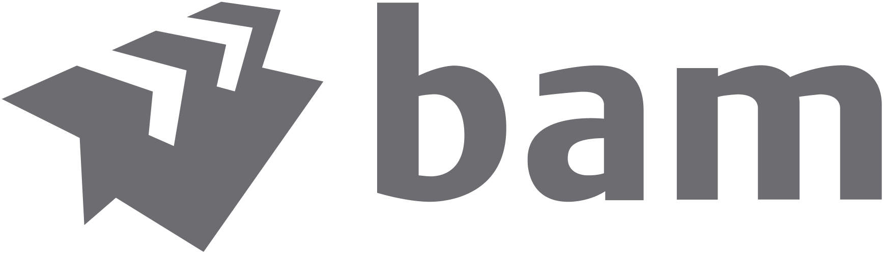 BAM logo website